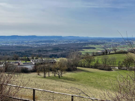 25-03-21 12-04-00 2475